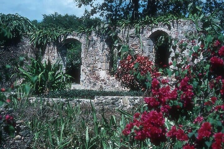 Frederiksted Walking Tour: Botanical Garden, Cruzan Rum & Rainbow Beach photo 5