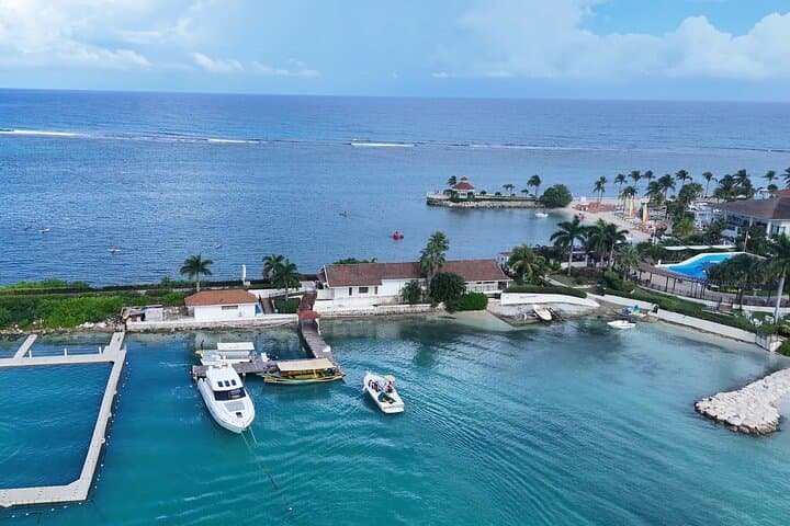 Parasailing Over Ocho Rios: Panoramic Coastal Flights in Jamaica photo 6