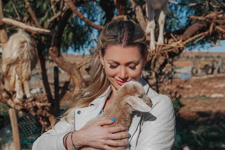 Goats in Argan Trees: Half-Day Agadir Tour to See Climbing Goats & Argan Cooperatives photo 4