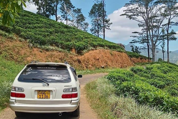 Kandy to Nuwara Eliya Cool Tour: Tea Hills, Waterfalls & Cultural Sites photo 3