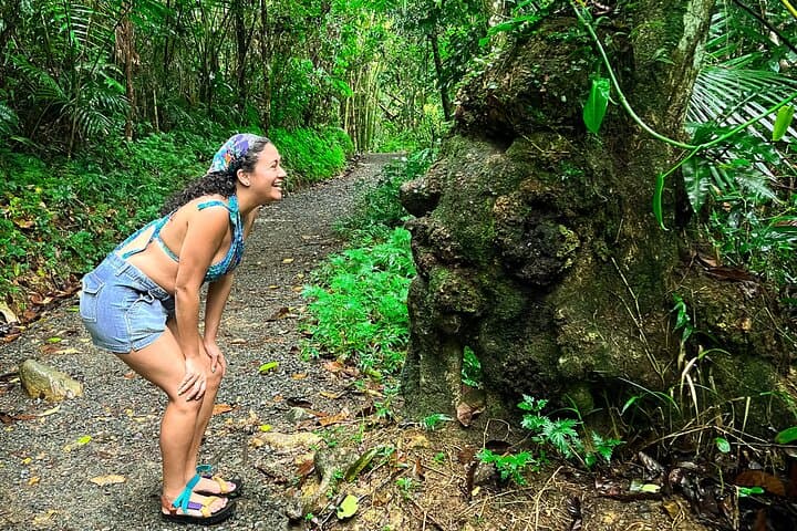 El Yunque Natural Pool Hike — Easy Rainforest Walk & Luquillo Kiosks photo 6