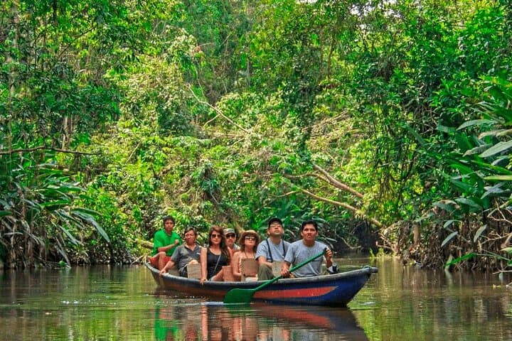3-Day Manu Amazon Experience: Manu Lodge Wildlife & Macaw Clay Lick photo 3