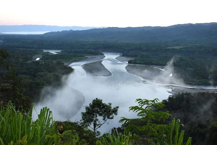 3-Day Manu Amazon Experience: Manu Lodge Wildlife & Macaw Clay Lick photo 4