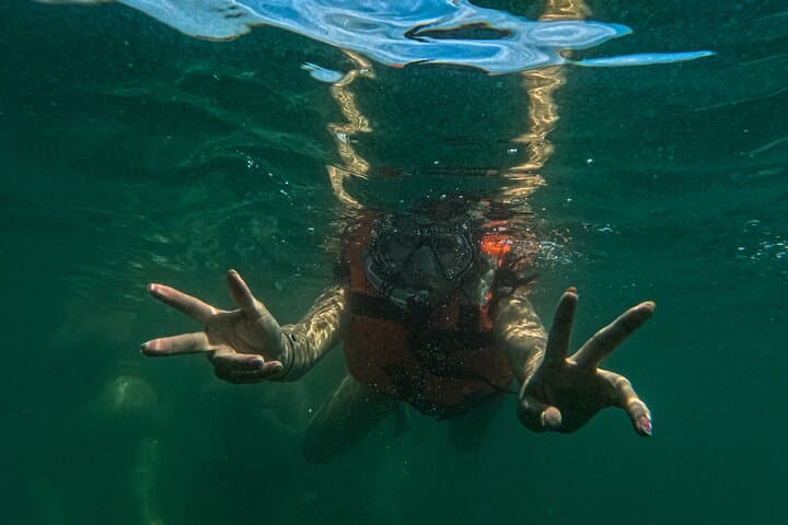 Playa Escondida & Las Ánimas: Snorkel and Canopy Adventure in Puerto Vallarta photo 5
