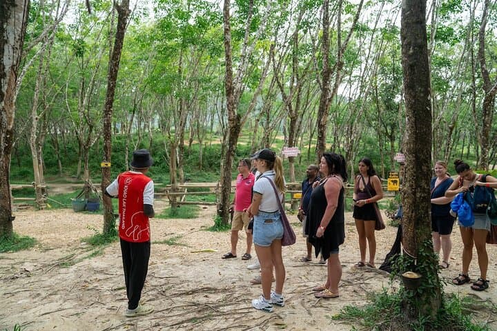 Up-Close with Giants: 30-Minute Guided Transfer to Khaolak Elephant Sanctuary photo 2