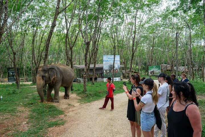 Khaolak Wild Ride and Gentle Giants Experience: ATV, Waterfall & Elephant Sanctuary Tour photo 4