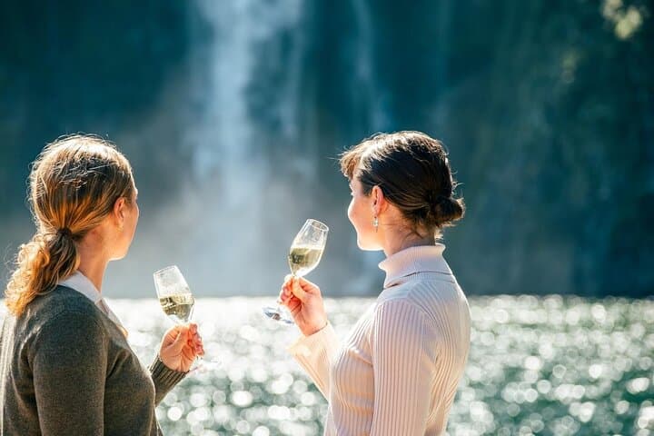 Milford Sound Business-Class Cruise from Queenstown — Luxury Scenic Drive, Gourmet Lunch & Wildlife photo 4