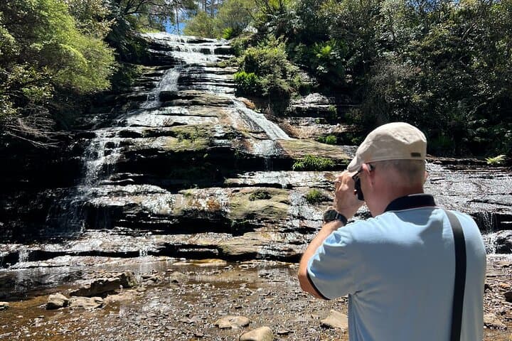 Blue Mountains Private Tour: Jamison Valley Lookouts, Rainforest Walks & Wild Marsupials