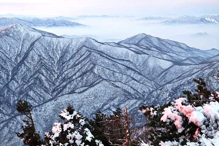Winter Day Trip: Seoraksan, Eobi Ice Valley & Nami Island from Seoul