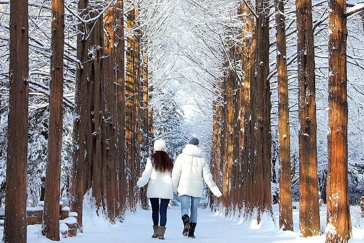 Seoraksan National Park & Nami Island Day Trip from Seoul: Mountains, Cable Car and Tree-Lined Paths photo 3