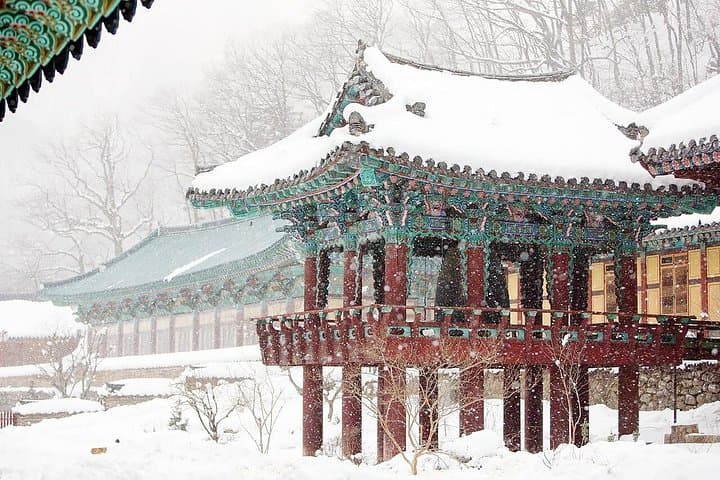 Seoraksan National Park & Nami Island Day Trip from Seoul: Mountains, Cable Car and Tree-Lined Paths photo 4