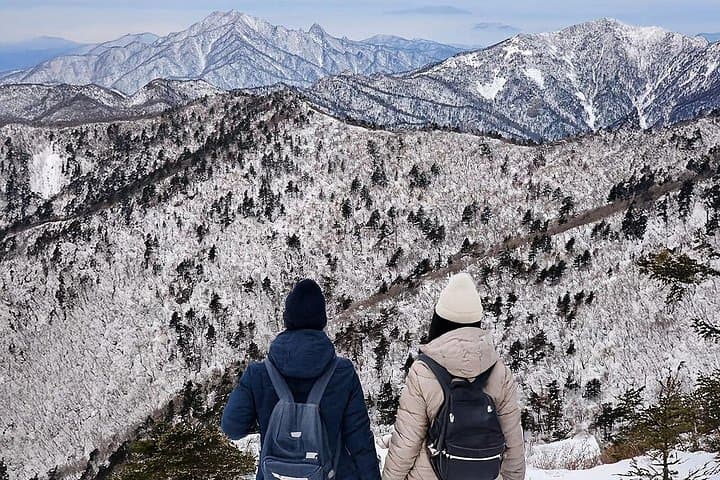 Seoraksan National Park & Nami Island Day Trip from Seoul: Mountains, Cable Car and Tree-Lined Paths photo 1