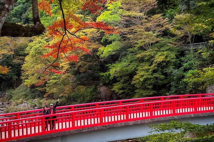 Korankei Gorge, Toyokawa Inari & Miso Tastes: Day Trip from Nagoya photo 3