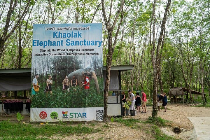 Khao Lak Elephant Sanctuary: 1-Hour Guided Observation Tour photo 5