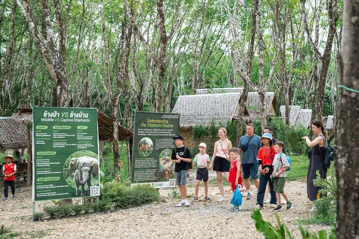 Khao Lak Elephant Sanctuary: 1-Hour Guided Observation Tour photo 6