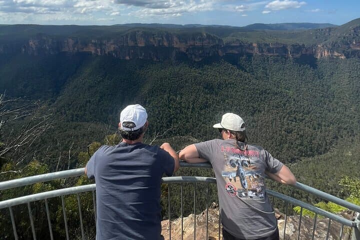 Blue Mountains Private Tour: Jamison Valley Lookouts, Rainforest Walks & Wild Marsupials photo 4