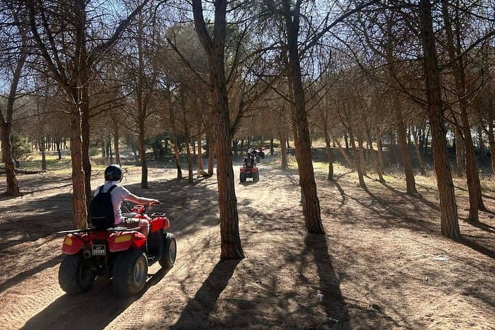 Hammamet Quad Bike Adventure: 35km Off-Road Tour with Olive Oil & Bread Tasting photo 6