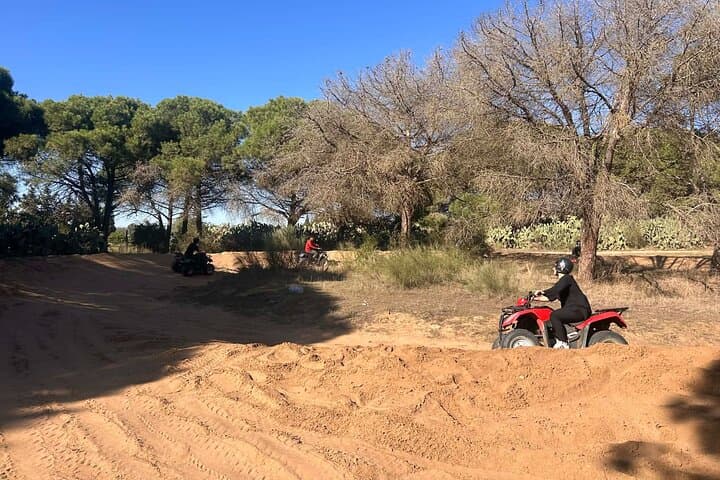 Hammamet Quad Bike Adventure: 35km Off-Road Tour with Olive Oil & Bread Tasting photo 5