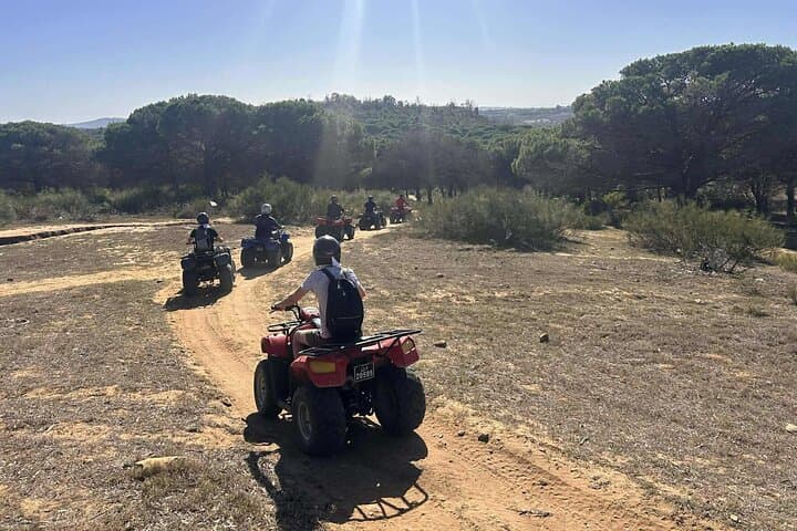 Hammamet Quad Bike Adventure: 35km Off-Road Tour with Olive Oil & Bread Tasting photo 4