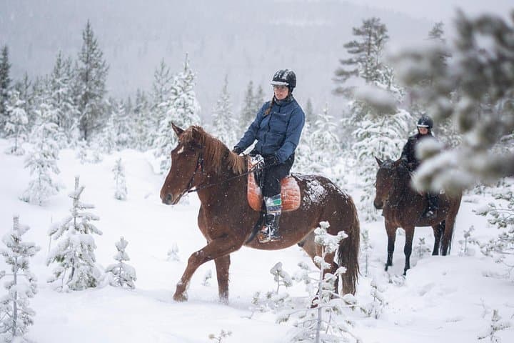Lapland Horse Ride to the Snowy Hill: Winter Trail at Ranch Kuulas photo 1