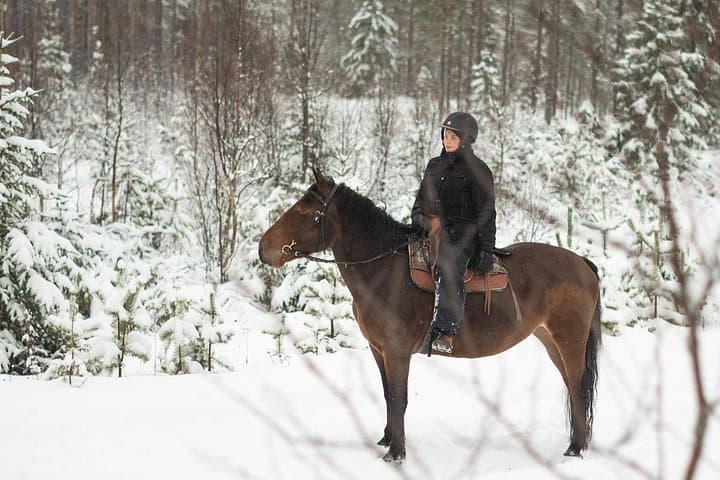 Lapland Horse Ride to the Snowy Hill: Winter Trail at Ranch Kuulas photo 3