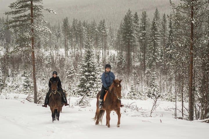 Lapland Horse Ride to the Snowy Hill: Winter Trail at Ranch Kuulas photo 2