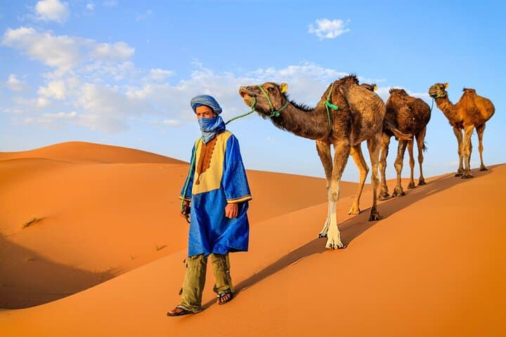 Zagora Desert 2-Day Tour from Marrakech: Camels, Kasbahs and Berber Camp photo 3