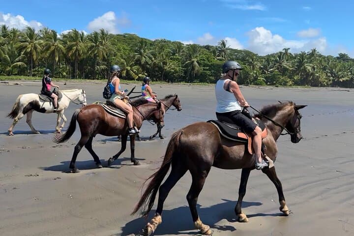 Ethical Beach Horseback Ride Between Jaco and Manuel Antonio photo 6