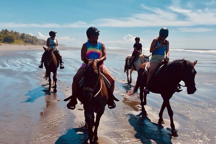 Ethical Beach Horseback Ride Between Jaco and Manuel Antonio photo 5