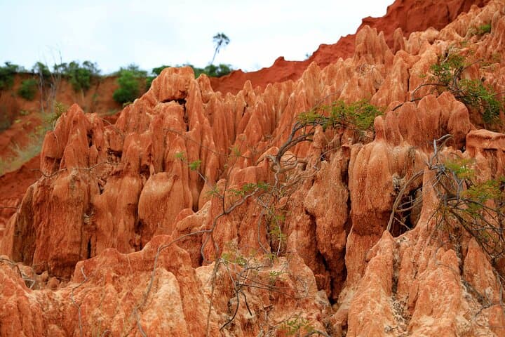 Red Tsingys Hike from Diego Suarez — Half-Day Red Limestone Adventure