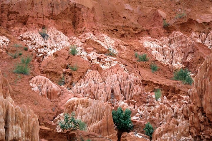 Red Tsingys Hike from Diego Suarez — Half-Day Red Limestone Adventure photo 2