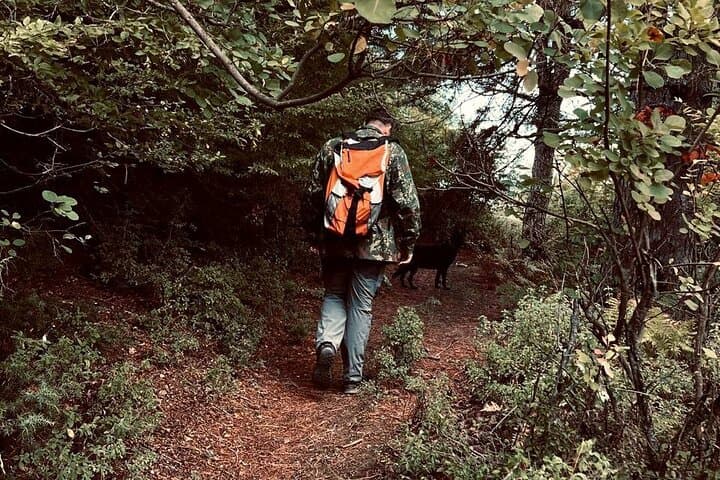 Discover Përmet: Short Nature Hike to the Vjosa River Panoramic View photo 2