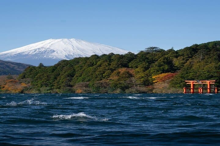 Private Full-Day Hakone Tour: Lake Ashi, Owakudani & Hakone Open-Air Museum