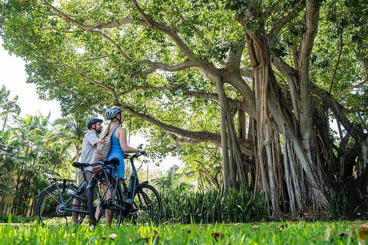 Self-Guided E‑Bike Tour of Key Biscayne — Miami's Island Paradise photo 2