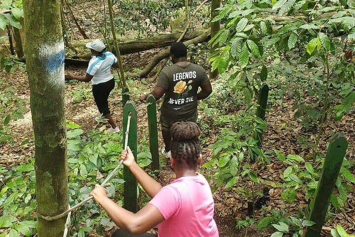 Wingfield Estate Rainforest Hike: Panoramic Tour from Basseterre photo 2