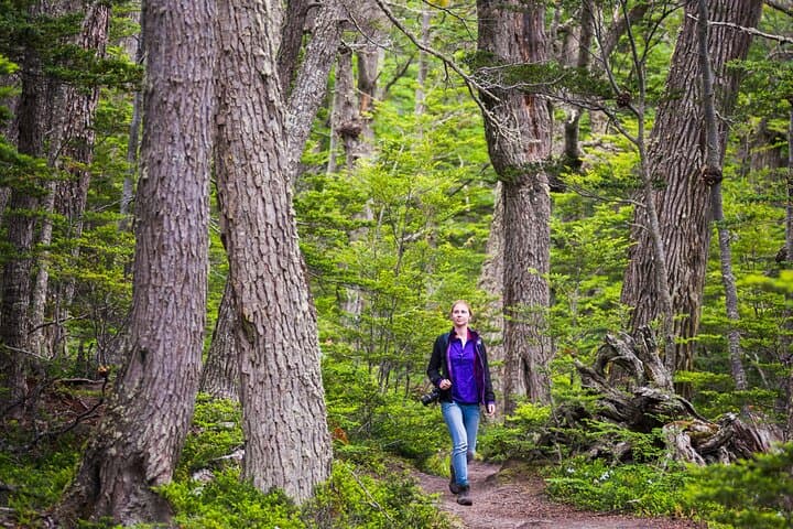 Ushuaia Discovery: 4-Day, 3-Night Adventure with Airfare from Buenos Aires photo 2