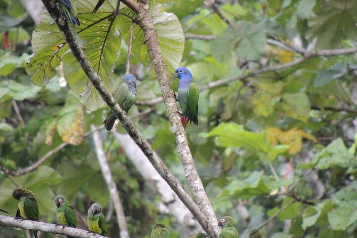 Andes to Amazon: 4-Day Ecuador Jungle and Volcano Adventure photo 6