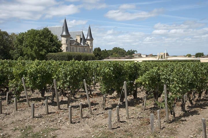 Half-Day Médoc Private Ride: Château Margaux, Pichon-Baron & Beychevelle photo 5