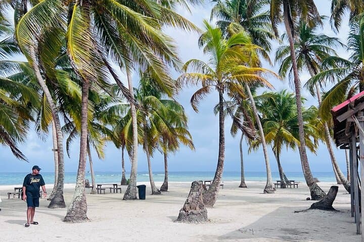 San Blas Islands Day Tour — 4 Guna Yala Islands & Snorkel photo 5