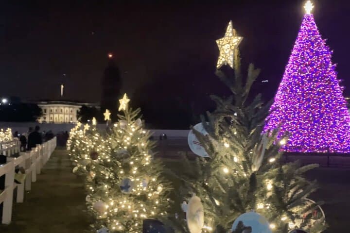 Washington DC Holiday Lights Bus Tour: National Christmas Tree & Festive Stops