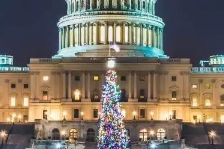 Washington DC Holiday Lights Bus Tour: National Christmas Tree & Festive Stops photo 4