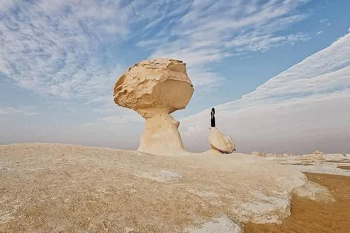 2-Day White & Black Desert Camping Jeep Tour from Cairo to Bahariya Oasis photo 3