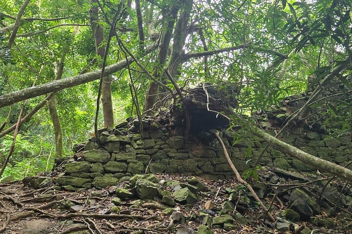 Hike Fautaua Valley to Tahiti’s Big Waterfall — Private Guided Adventure photo 3