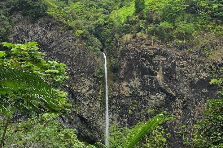 Hike Fautaua Valley to Tahiti’s Big Waterfall — Private Guided Adventure photo 4