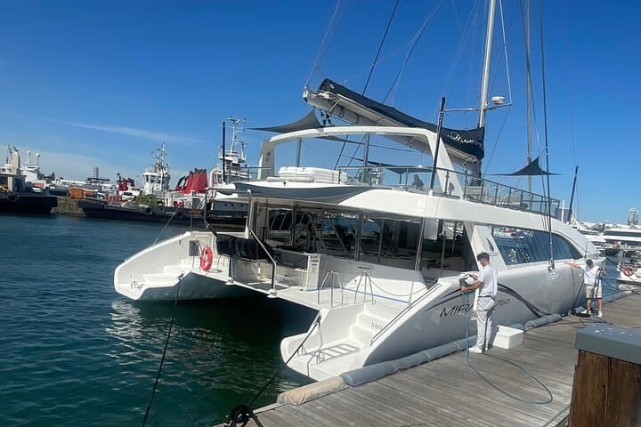 Cape Town Day Sail: Eco Ocean Safari with Table Mountain Views photo 5