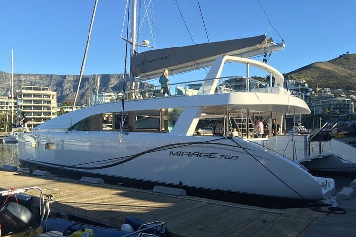 Cape Town Day Sail: Eco Ocean Safari with Table Mountain Views photo 2