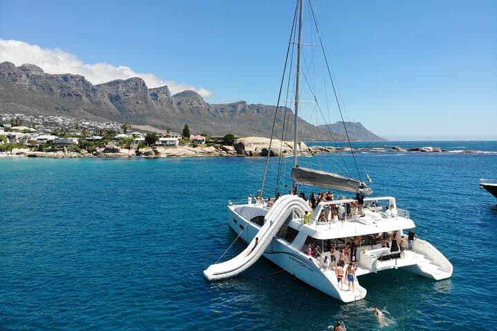 Cape Town Day Sail: Eco Ocean Safari with Table Mountain Views