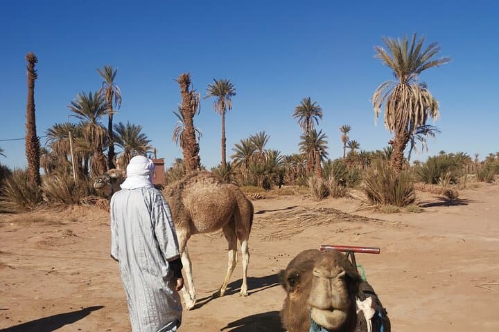 4-Day Jebel Bani & Erg Chigagaa Sahara Trek with Amazigh Guides photo 5