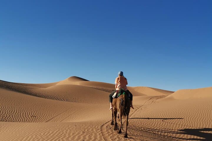4-Day Jebel Bani & Erg Chigagaa Sahara Trek with Amazigh Guides photo 6
