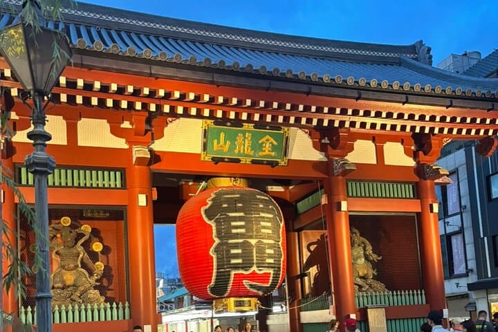 Haneda Airport Private Transfer: Luxury Meet-and-Greet to Tokyo Hotels photo 2